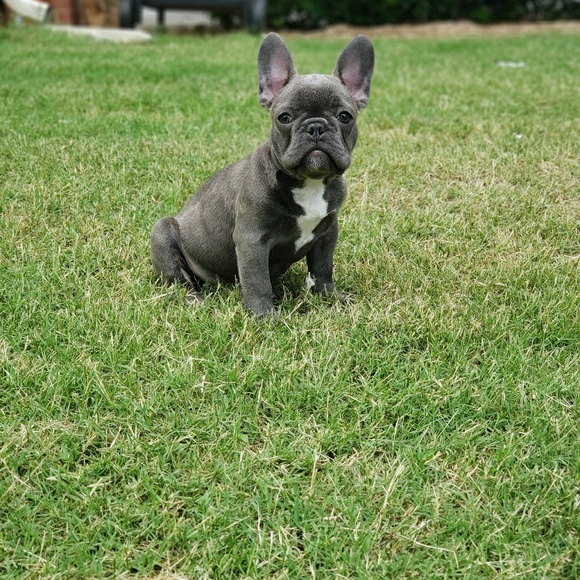 Meet your Posher, Ryan - Picture 1 of 1